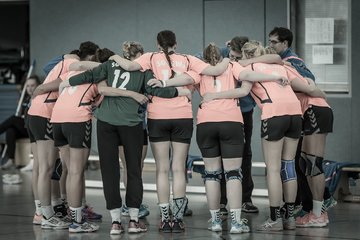Bild 220 - Frauen OL TuS Esingen - SG Niendorf/Wandsetal : Ergebnis: 24:17